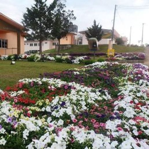 Saiba quem são os candidatos a prefeito, vice e vereador em Bandeirante