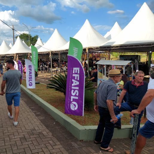 Mais de 30 mil pessoas já passaram pelo parque da Efaislo