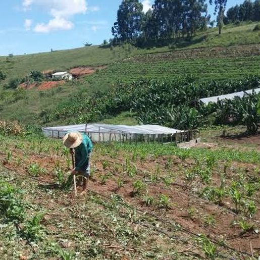 Sindicato incentiva agricultores a aderirem ao Crédito Fundiário