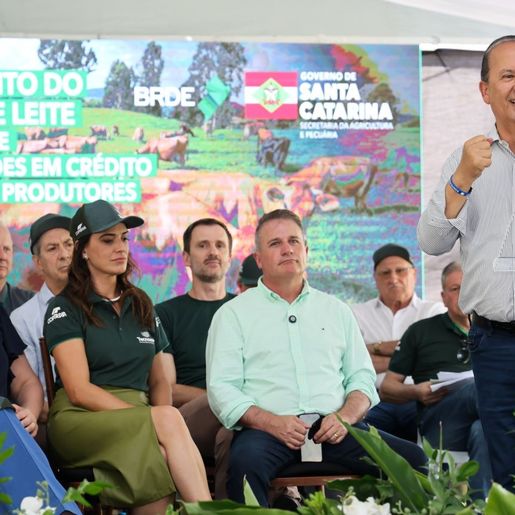 Governo de SC lança linha de crédito de R$ 240 milhões para produtores de leite