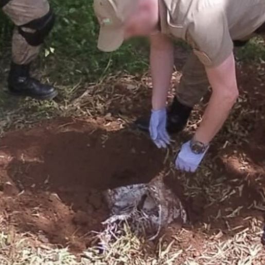 Homem confessa ter matado a companheira e escondido corpo no quintal