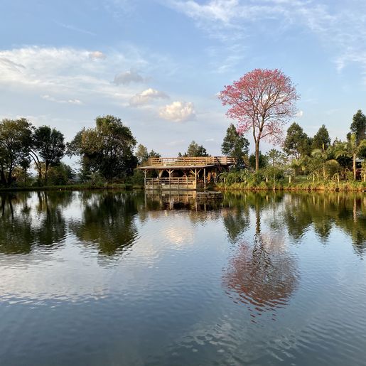 Agrofloresta ASAs completa 10 anos de cuidado com a natureza