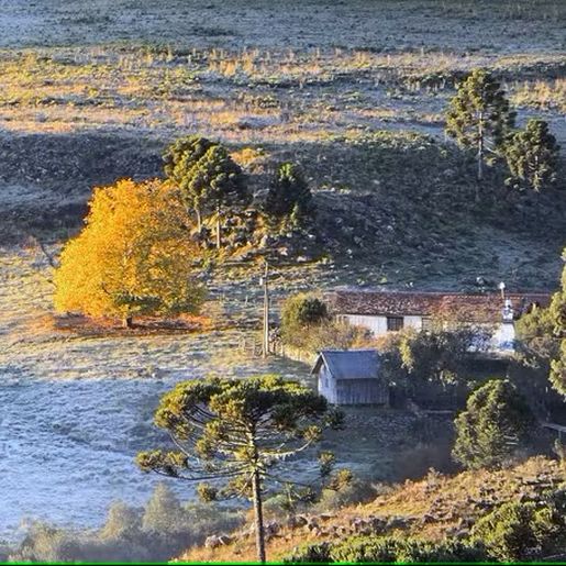 Região mais fria de SC amanhece com temperaturas negativas e geada