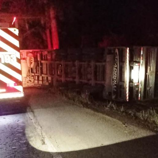 Motorista tem ferimentos graves em acidente com carreta carregada de suínos na SC-161