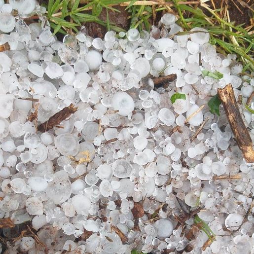 "Talvez terei que acionar o seguro agrícola" relatou agricultora de Palma Sola