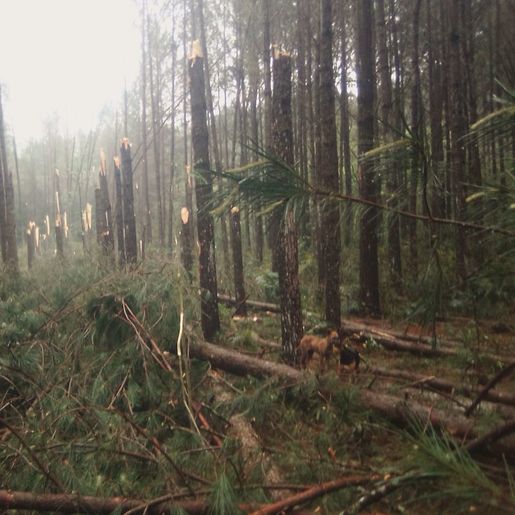 Santa Catarina é atingida pelo segundo tornado em menos de três horas