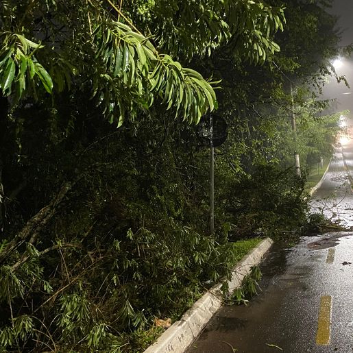 Temporal deixa quase 4 mil unidades sem energia no Extremo Oeste