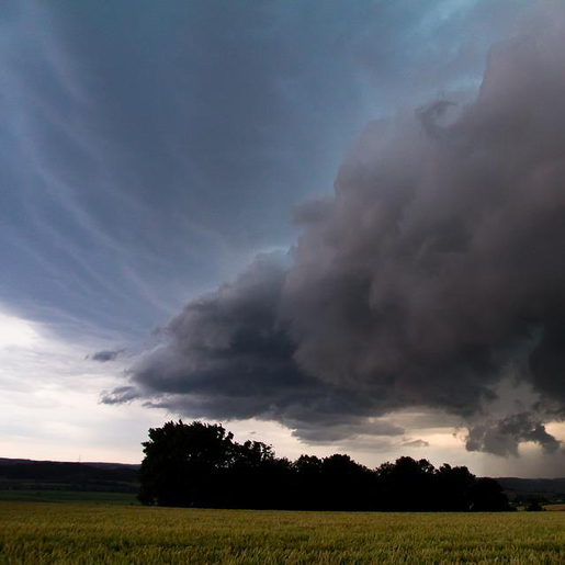 Nesta quarta-feira, SC tem alerta para rajadas de vento com mais de 60 km/h