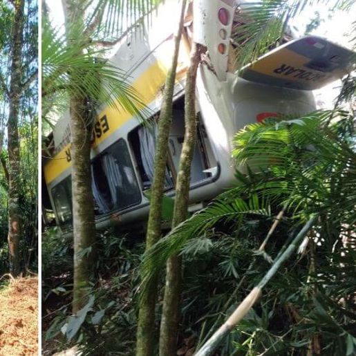 Micro-ônibus com 13 crianças perde freios, capota e cai em ribanceira em SC
