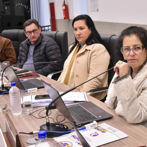 Vereadora pede criação de lei para regulamentar food trucks em SMO