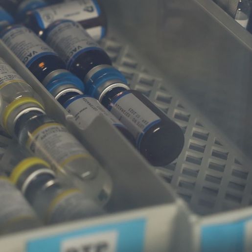 SC registra mais de 2 mil casos de tuberculose em 2024 e reforça ações de combate à doença