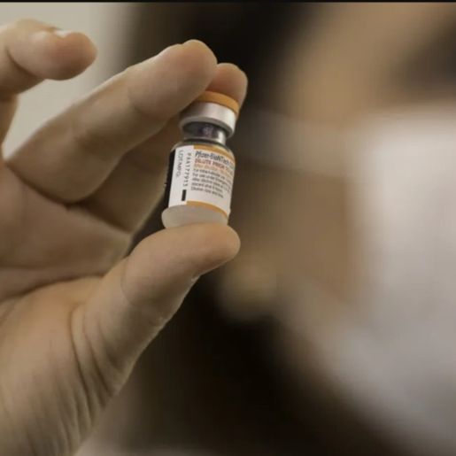 Pais que não vacinaram filhos contra Covid são condenados a pagar até R$ 8,4 mil de multa em SC