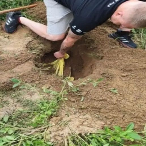 Suspeitos de matar cães a machadadas e pauladas em SC são presos em flagrantes