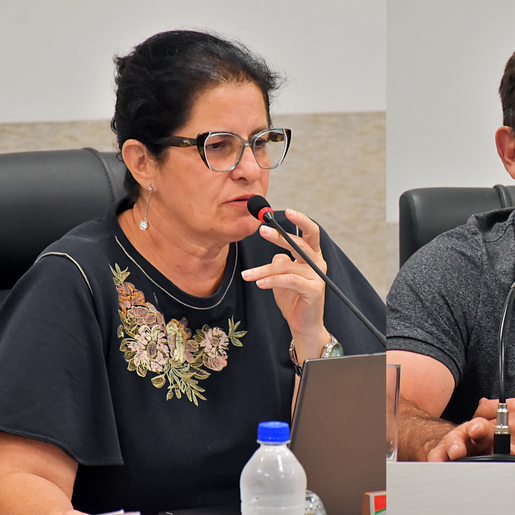 Vereadores sugerem volta do funcionamento diário da Feira Livre de São Miguel do Oeste