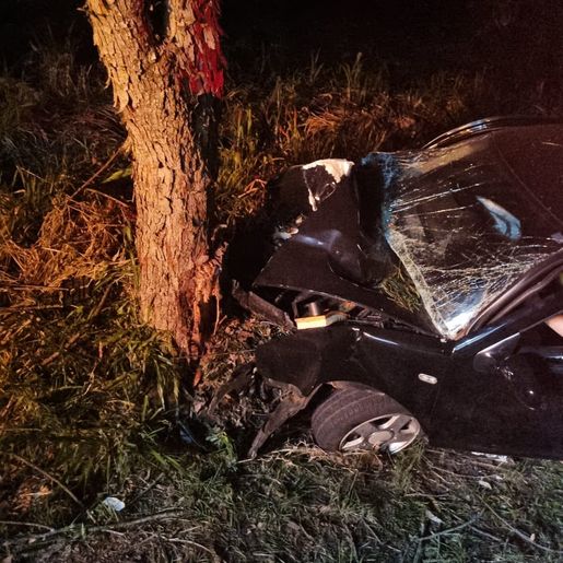 Motorista fica ferido em colisão contra árvore na SC-496, em SJO