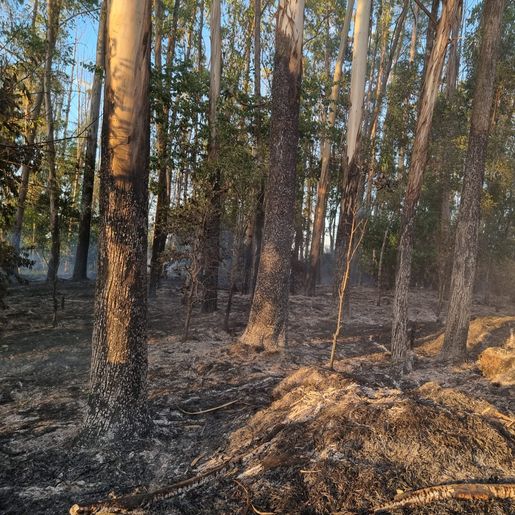 Bombeiros de Iporã do Oeste combatem dois incêndios em 24 horas