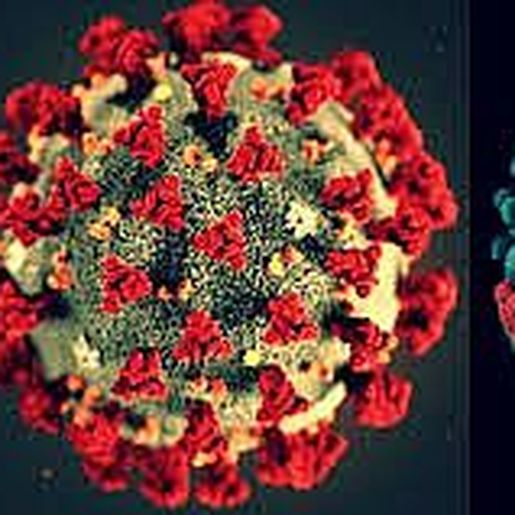 Homem é diagnosticado com covid-19, dengue e gripe no interior de Goiás