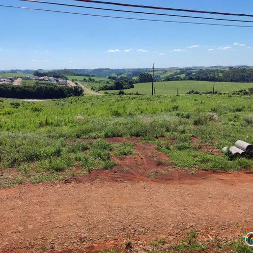 Justiça apura venda irregular de terrenos habitacionais em São José do Cedro