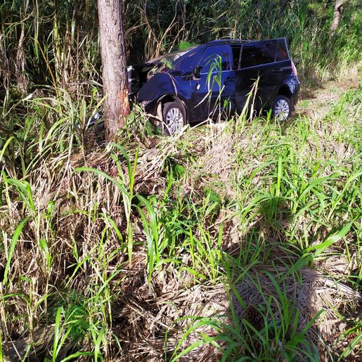 Três pessoas ficam feridas em colisão com árvore na SC-305