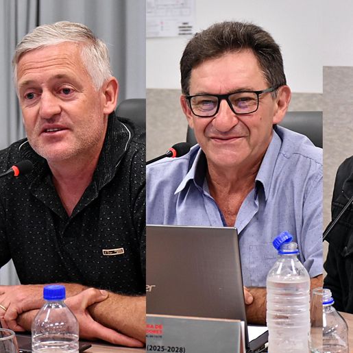 Vereadores de SMO propõem programa para apoiar agricultura familiar