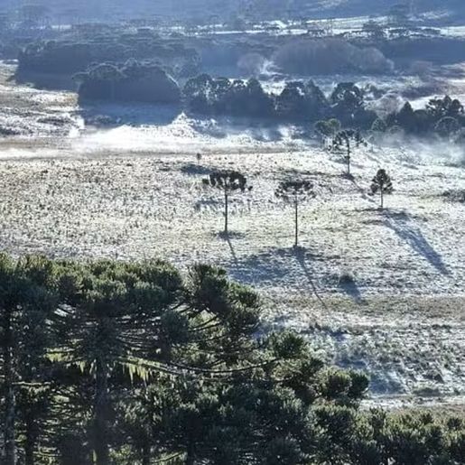 1° amanhecer da primavera tem termômetros perto de 0°C e geada na Serra catarinense