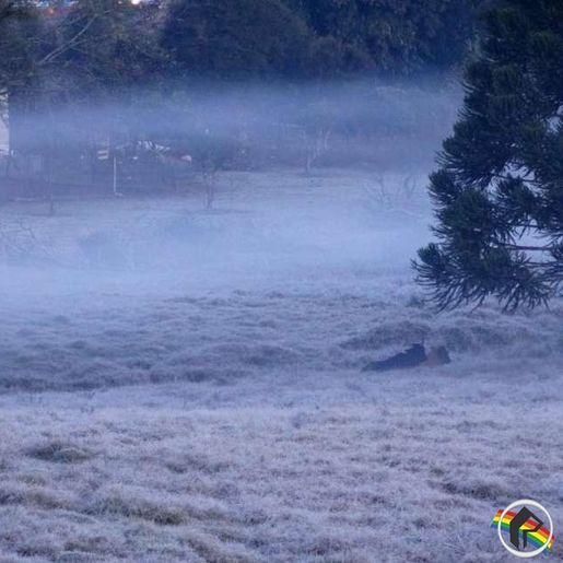 SC terá fim de semana ‘congelante’ com temperaturas abaixo de 0°C