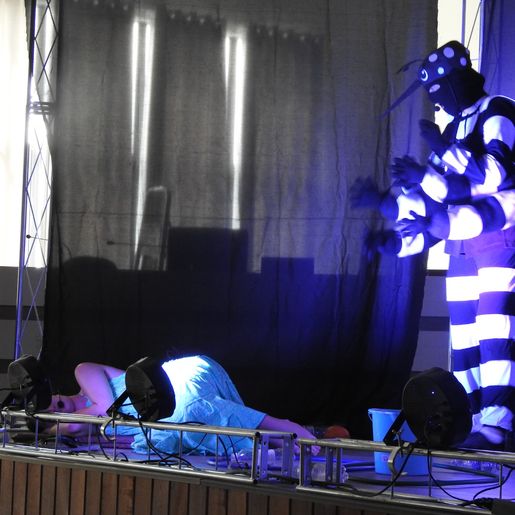 Teatro mobiliza mil alunos no combate à dengue em SMO