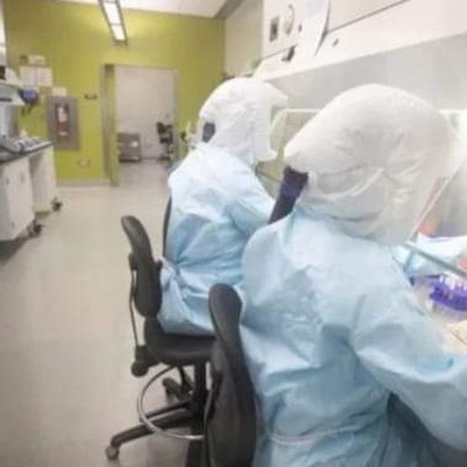 Descartadas suspeitas de Coronavírus em SC