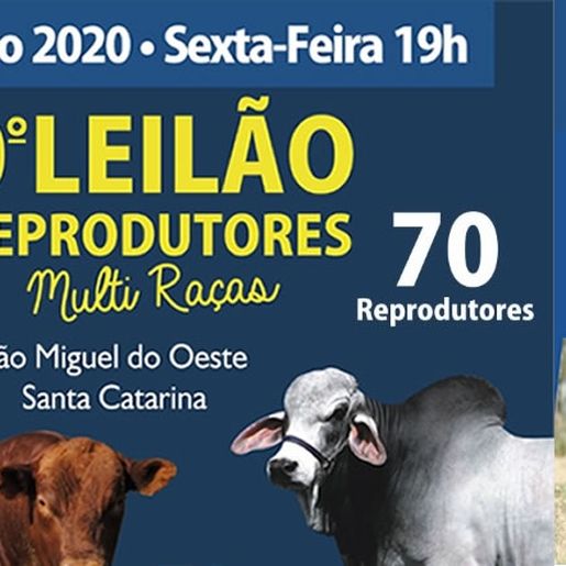 Associação organiza eventos online no final de semana em SMOeste