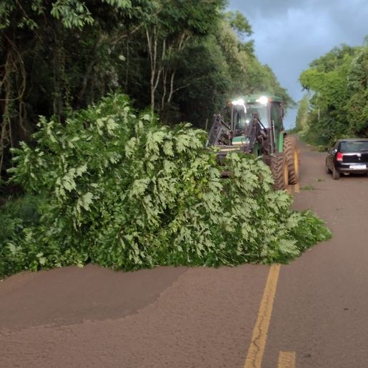 Moradores realizam manutenção por conta própria em rodovia estadual