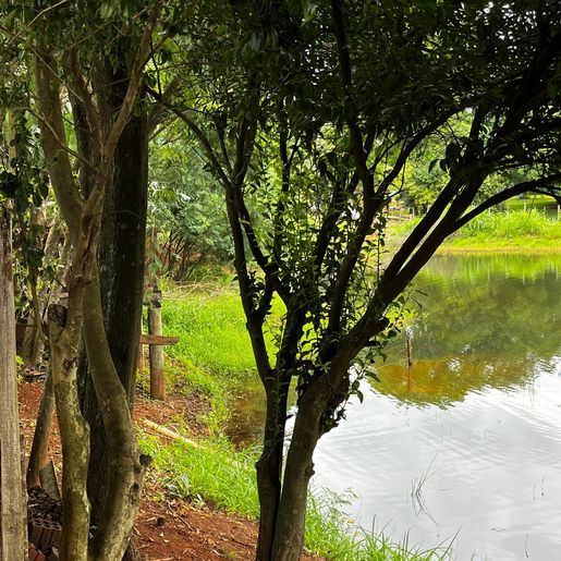 Idosa é encontrada morta dentro de açude no interior de SMO