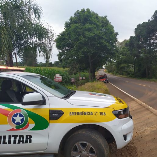 Colisão em árvore deixa condutora com ferimentos leves