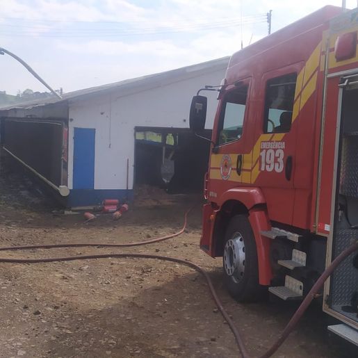 Incêndio atinge aviário e mata pintainhos no interior de Itapiranga