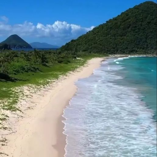 Bilionário busca casal para cuidar de ilha no Caribe por R$ 82 mil ao mês