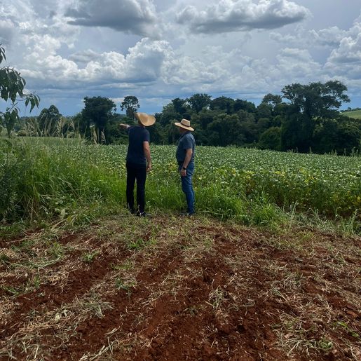 Guaraciaba estuda nova rota para desviar trânsito durante obras no trevo principal