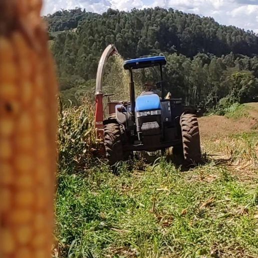 Secretaria da Agricultura de Princesa adquire quatro ensiladeiras novas