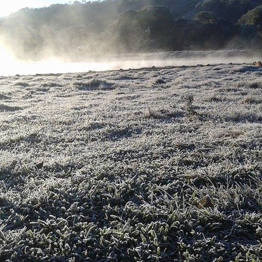 Frio fora de época deve atrasar cultura do milho e da soja na região