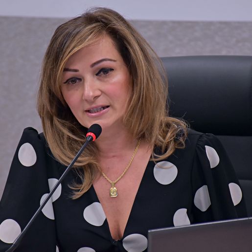 Proposições tratam sobre mão única em rua e turno único para servidores