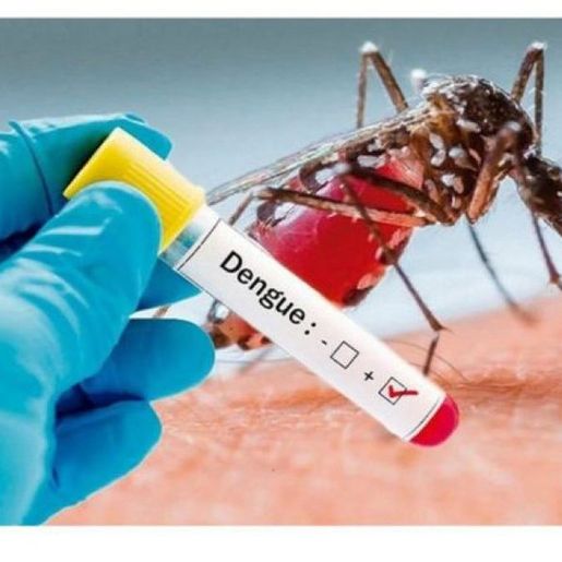 São Miguel do Oeste tem 45 casos de dengue confirmados