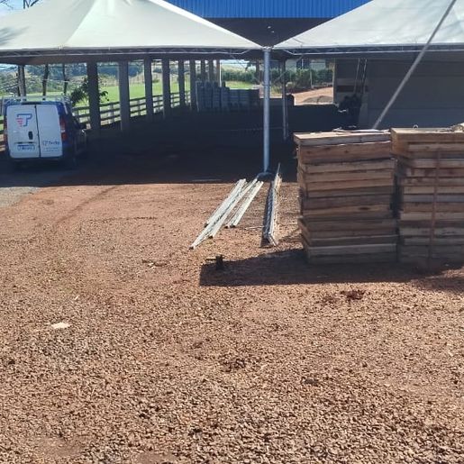 Expo Cedro 2025: Vice-presidente destaca novidades e expectativa de grande público