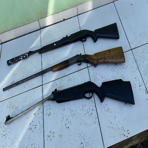 Polícia Civil apreende 7 armas e mais de 130 munições em Tunápolis