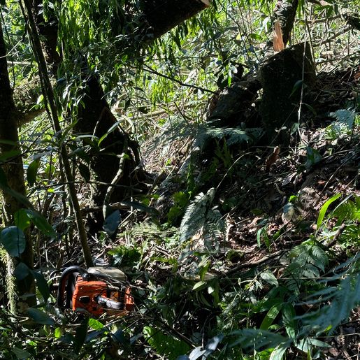 Idoso morre ao cair em ribanceira no interior de Caibi