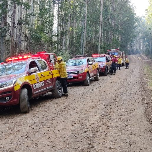 Bombeiros combatem incêndio em mata por cerca de 19 horas