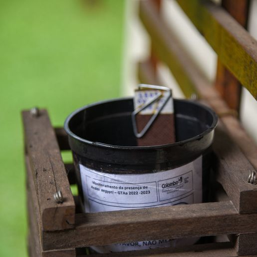 São Miguel do Oeste vai ampliar armadilhas contra Aedes aegypti a partir de agosto