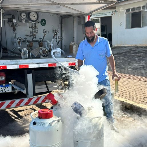 Prefeitura acompanha distribuição de nitrogênio líquido para agricultores cadastrados