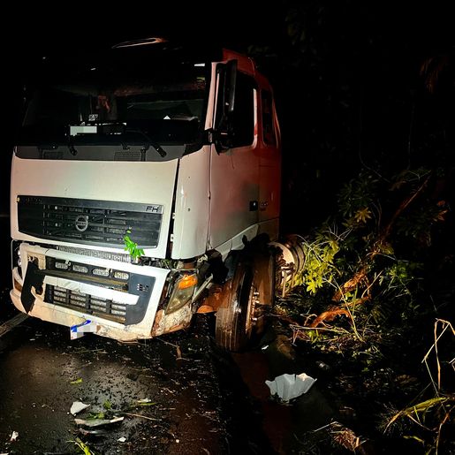 Homem fica ferido após carreta sair da pista na BR-282