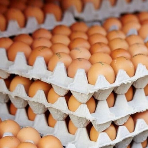 Preço do ovo sobe quase 20% em março e afeta o bolso de universitários que moram sozinhos