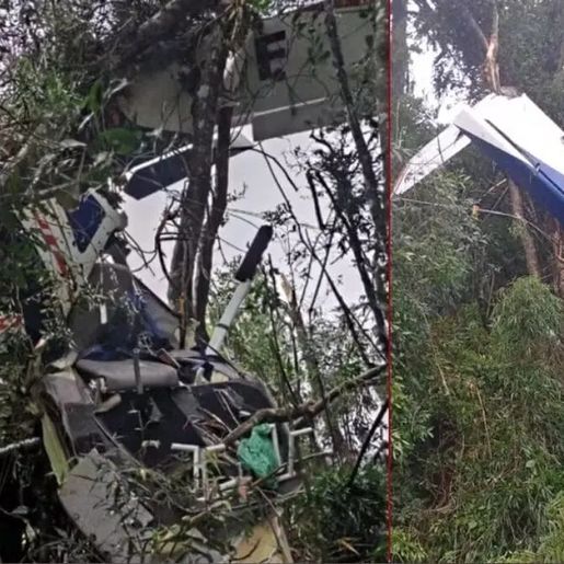 Avião que saiu de Santa Catarina cai no Paraná e piloto morre