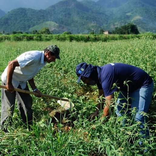 Inadimplência atinge 28% dos produtores rurais no país