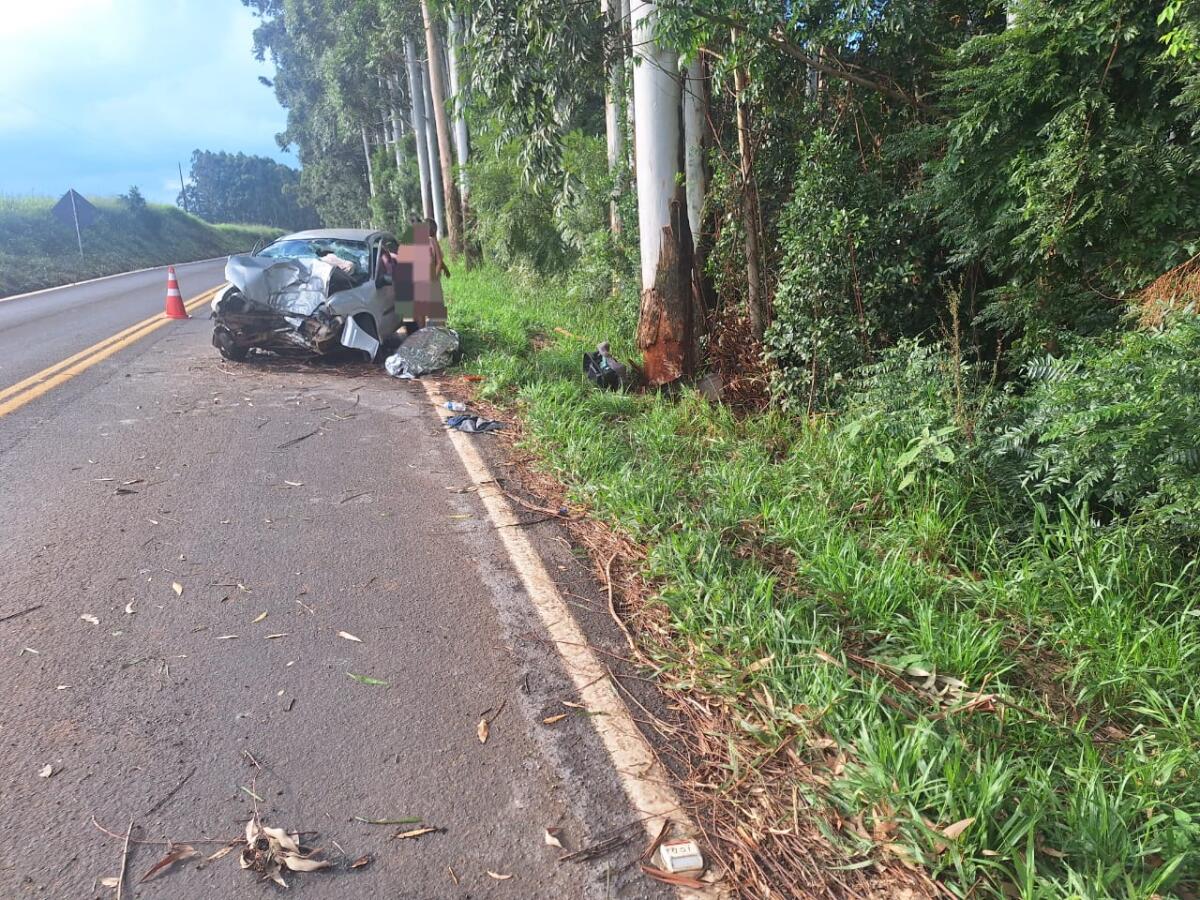 Jovem morre após carro sair da pista e bater em árvore na SC-161, em Palma Sola